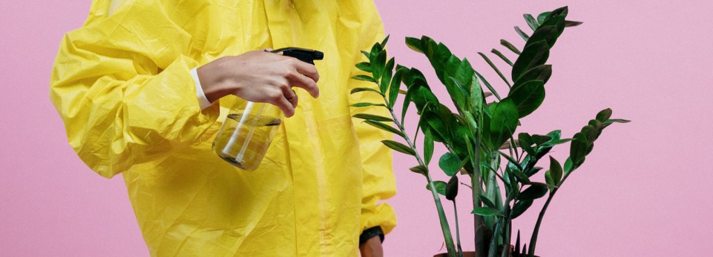 Zwangsstörungen, Gefühlswelt Berlin  Darlene-Anne Heinrich